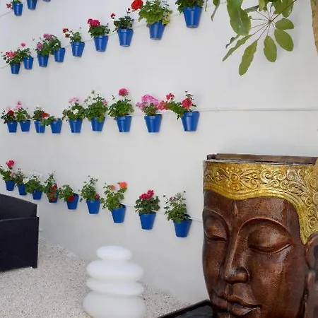 Casa Patio Palmeras 1 Y 2 * Кордова